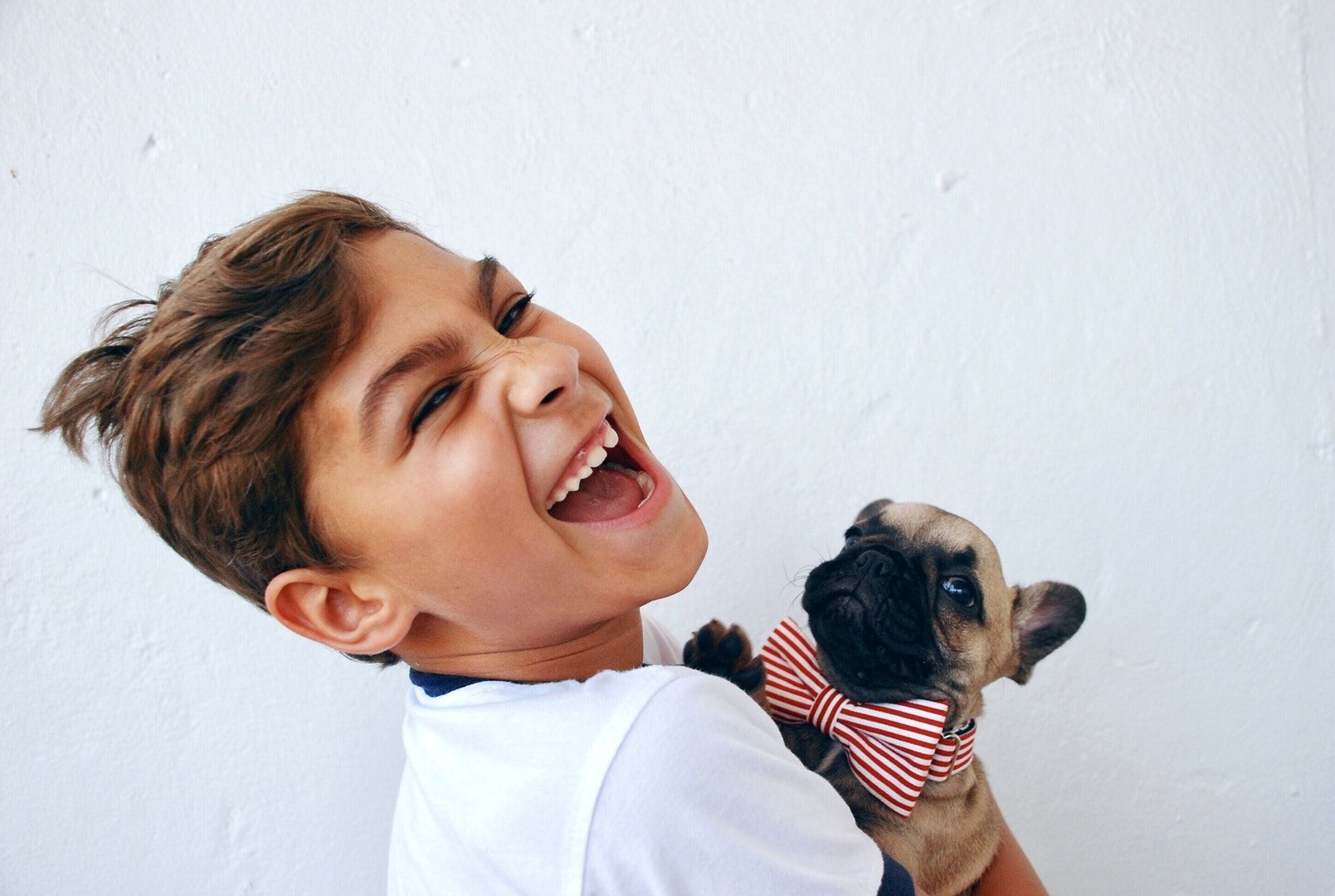 Happy smiling boy holding  a small dog